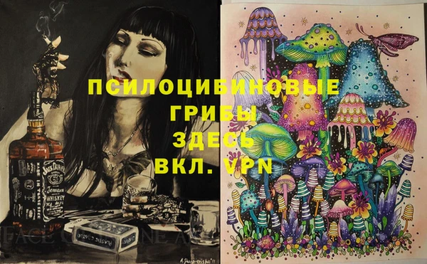 шишки Алексеевка