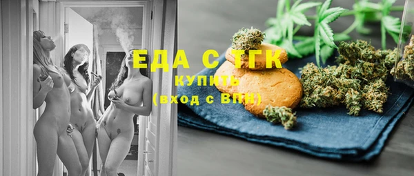 индика Арсеньев