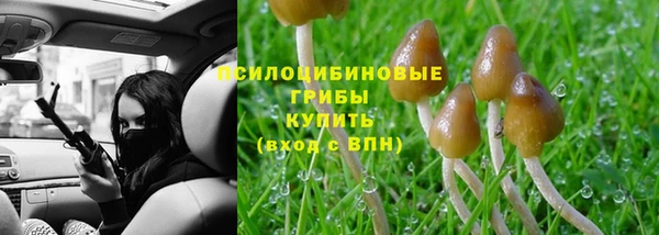 герыч Алзамай